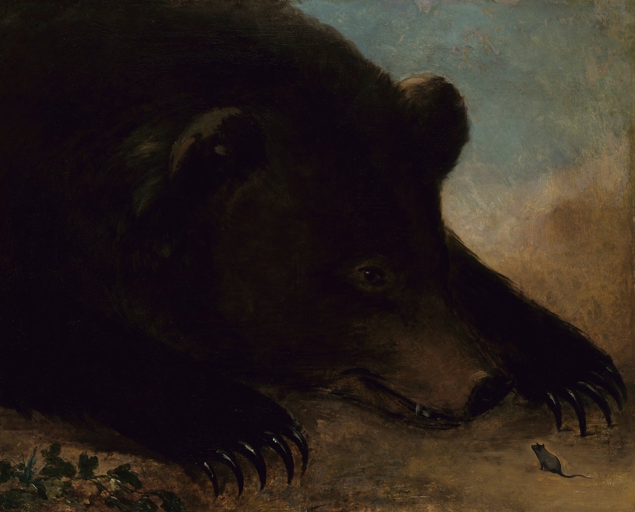 Portrety niedźwiedzia grizzly i myszy, naturalnej wielkości autorstwa George Catlin