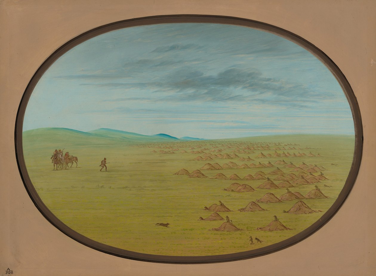 Wioska Preriowych Psów, 18611869. autorstwa George Catlin