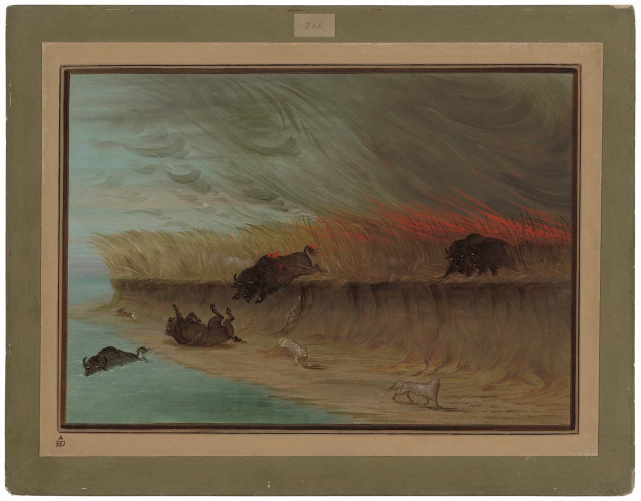 Płonące łąki prerii autorstwa George Catlin