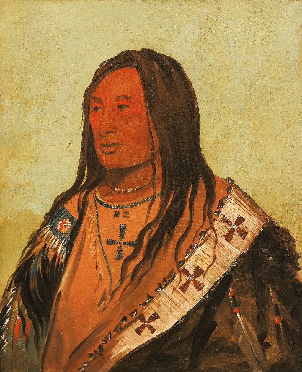 Táh-zee-keh-dá-cha, Rozdarty Brzuch, Wybitny Odważny autorstwa George Catlin