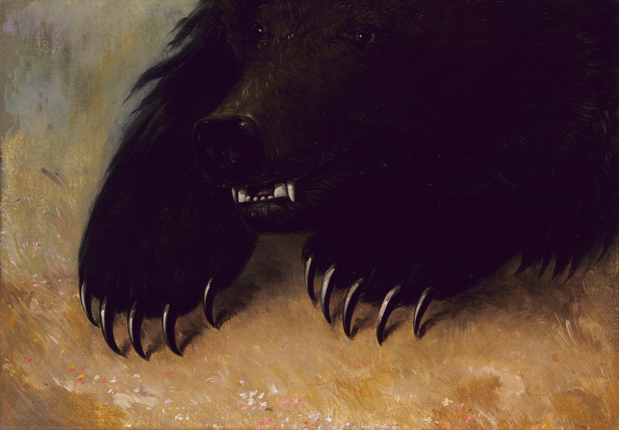 Broń i fizjonomia niedźwiedzia grizzly autorstwa George Catlin