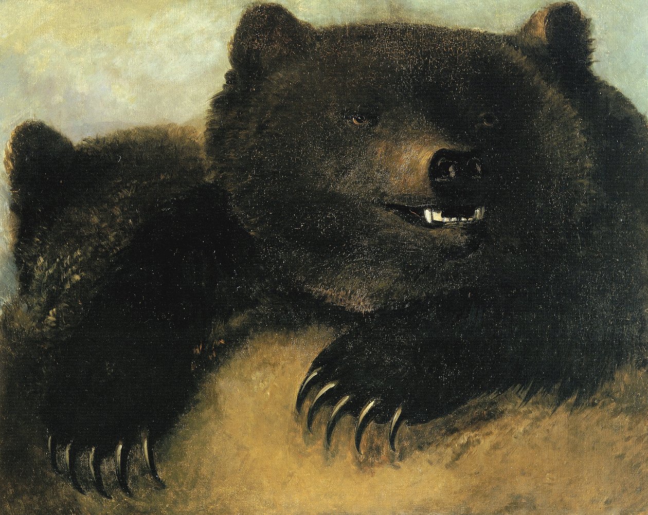 Broń i fizjonomia niedźwiedzia grizzly autorstwa George Catlin