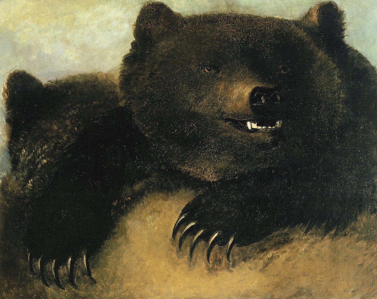 Broń i fizjonomia niedźwiedzia grizzly, 1846-1848. autorstwa George Catlin