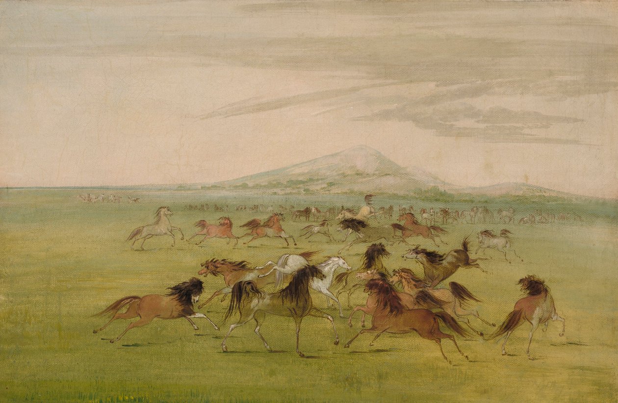 Dzikie konie w zabawie autorstwa George Catlin