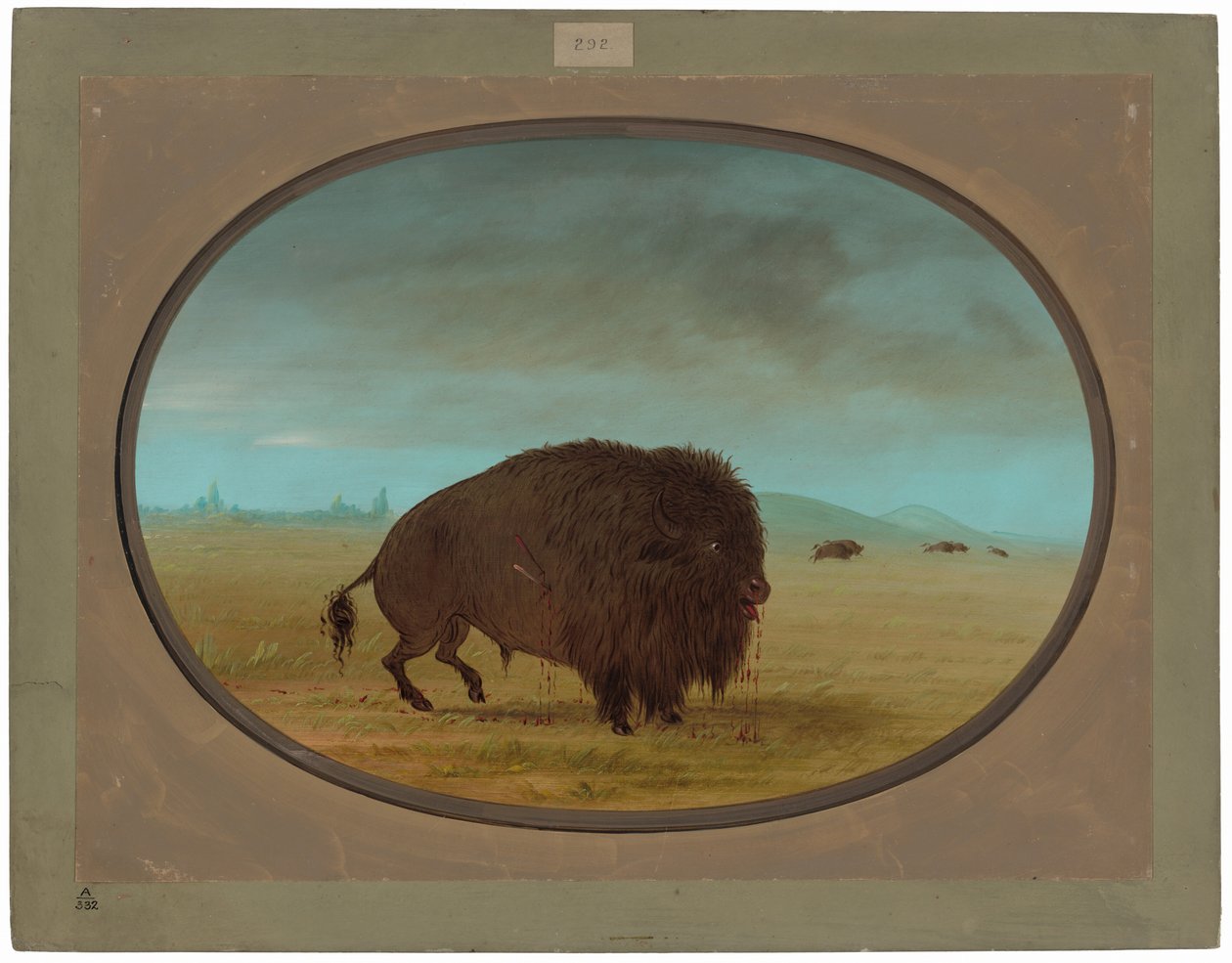 Ranny Byk Bawół autorstwa George Catlin