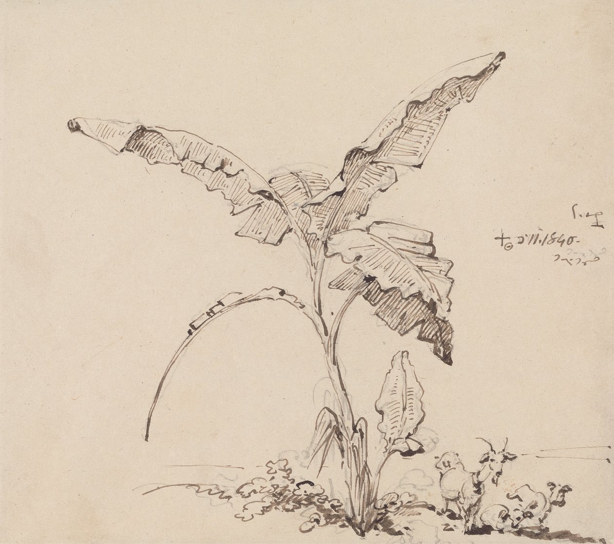 Kozy Pod Bananowym Drzewem autorstwa George Chinnery