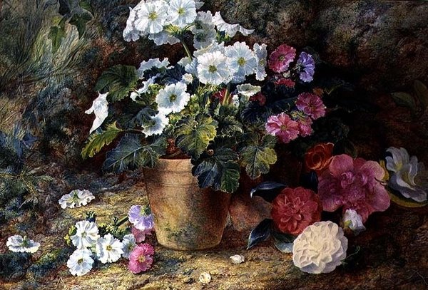 Martwa natura pelargonii w doniczce z kamelią autorstwa George Clare