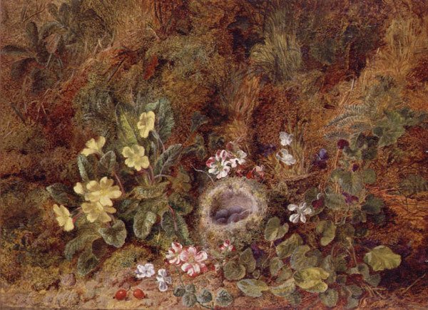 Martwa natura z ptasim gniazdem i dzikimi kwiatami autorstwa George Clare