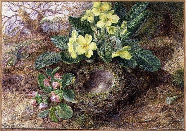 Martwa natura z pierwiosnkami i ptasim gniazdem (akwarela, gwasz na papierze) autorstwa George Clare