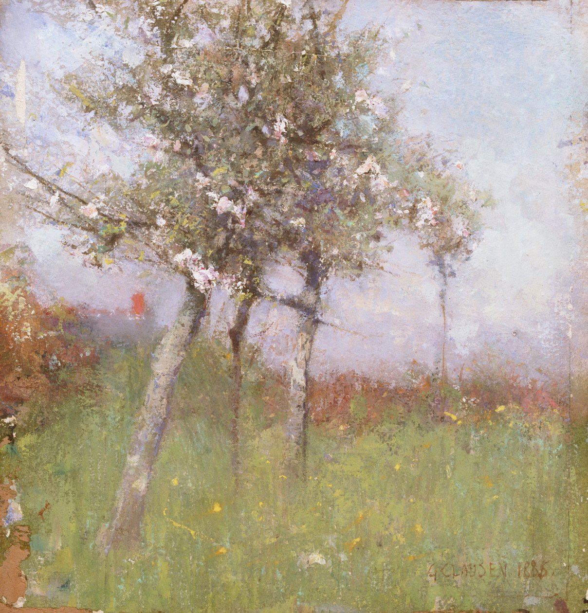 Kwiat jabłoni, 1885. autorstwa George Clausen