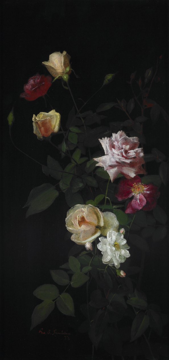 Martwa natura autorstwa George Cochran Lambdin