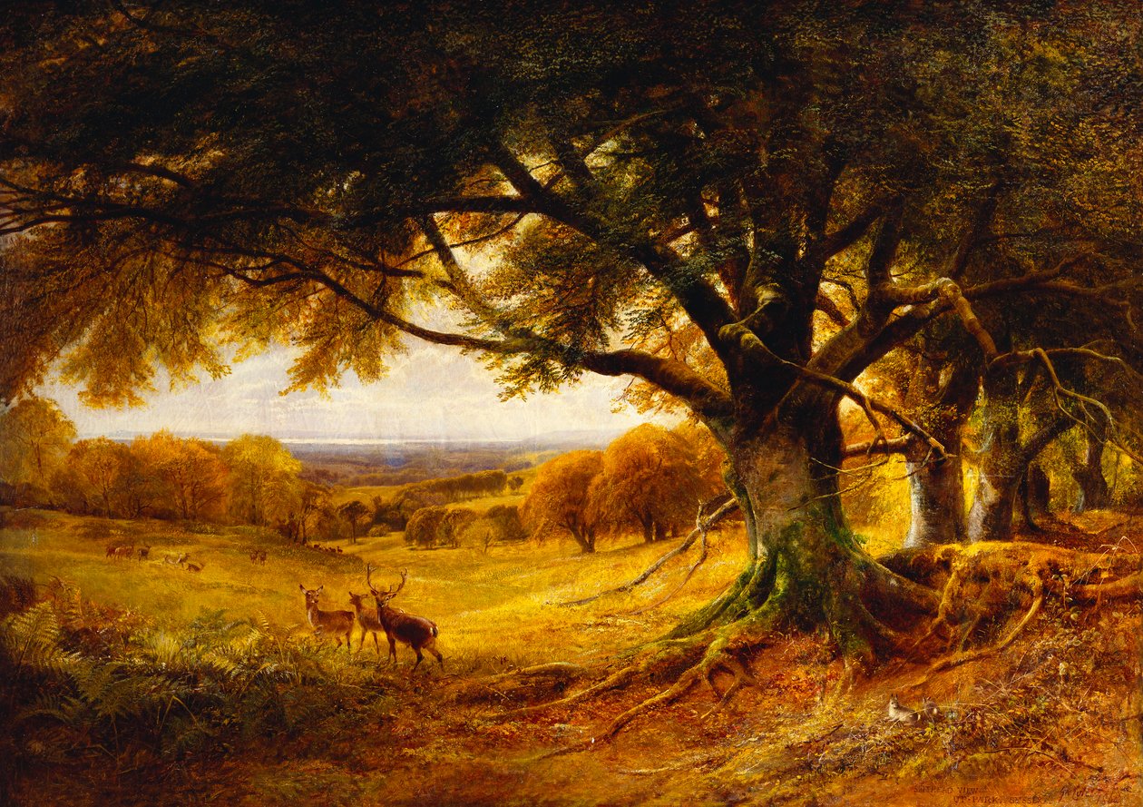 Spithead, Uppark, Sussex, 1868 autorstwa George Cole
