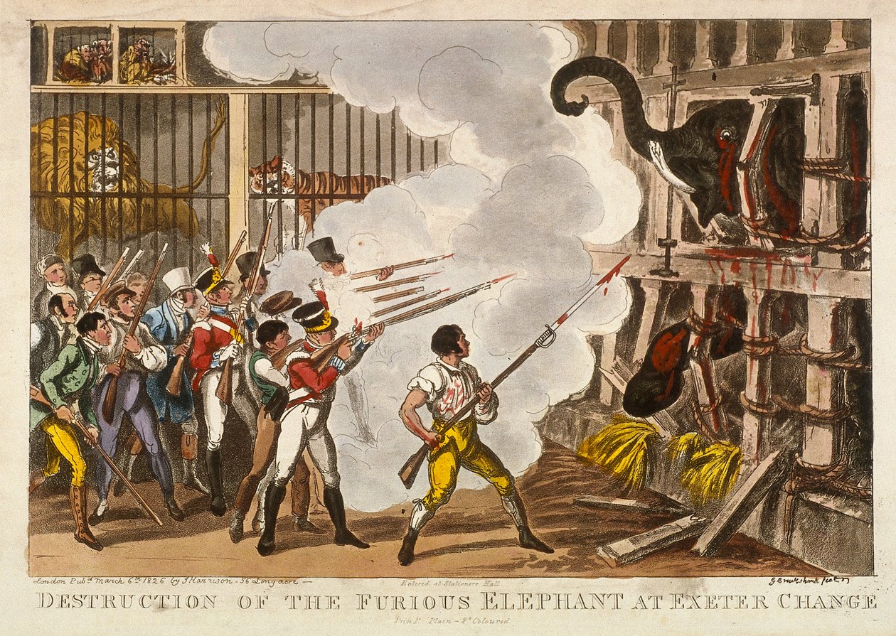 „Zniszczenie wściekłego słonia w Exeter Change”, 1826 autorstwa George Cruikshank