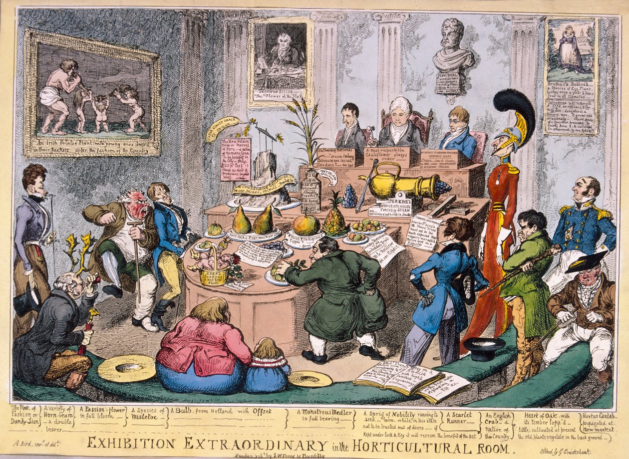 Wystawa w Royal Horticultural Society, Londyn, 1826 autorstwa George Cruikshank