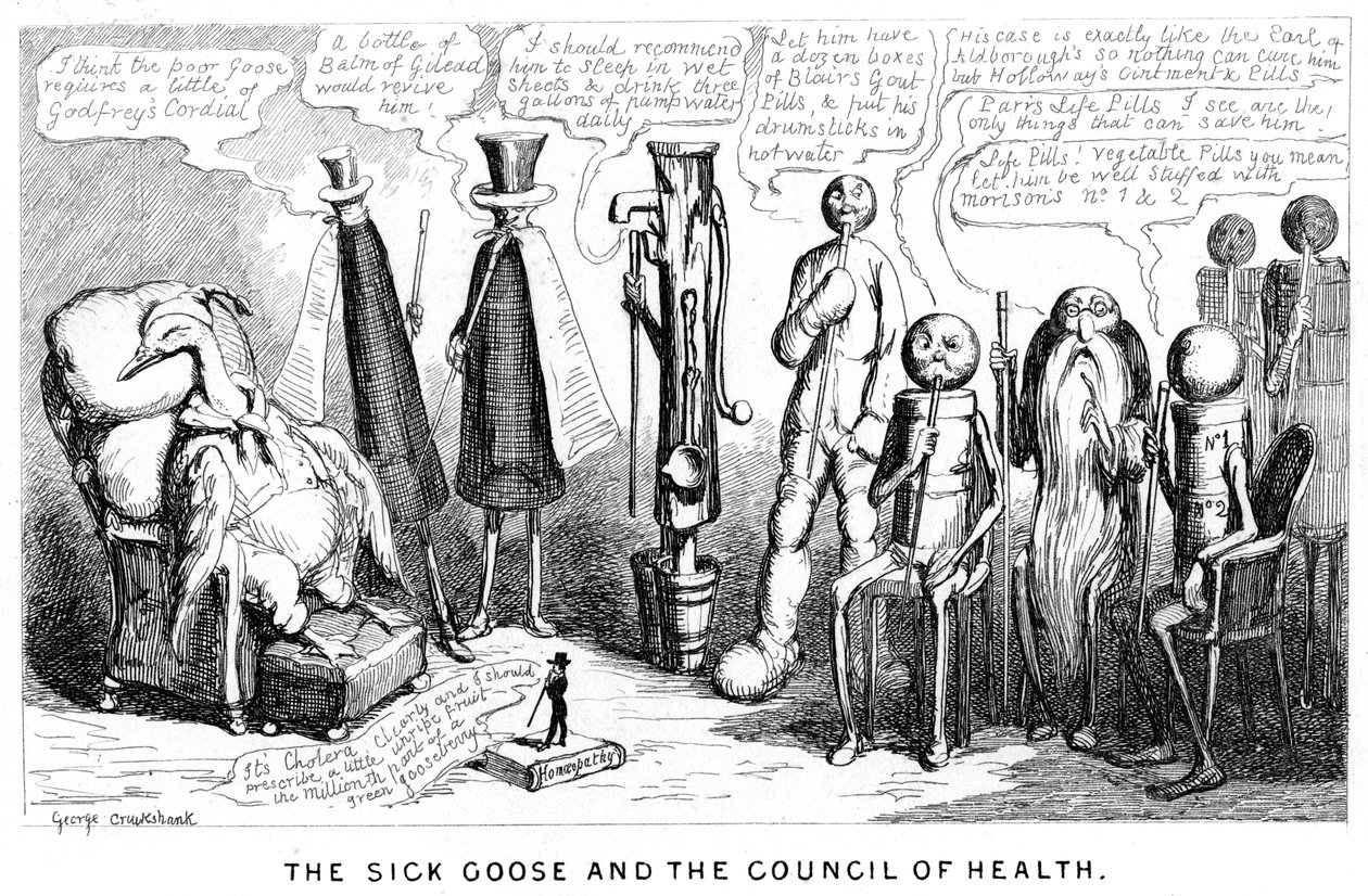 Chora Gęś i Rada Zdrowia, XIX w. autorstwa George Cruikshank