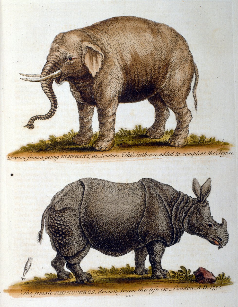 Grawerowana ilustracja przedstawiająca George