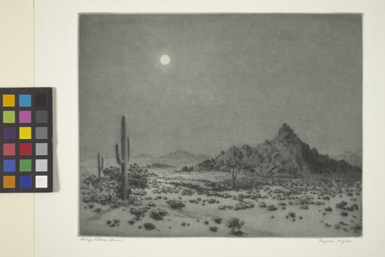 Arizona Night autorstwa George Elbert Burr