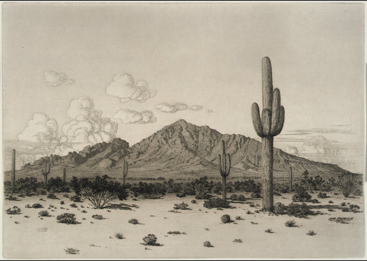Góra Camelback, Phoenix autorstwa George Elbert Burr