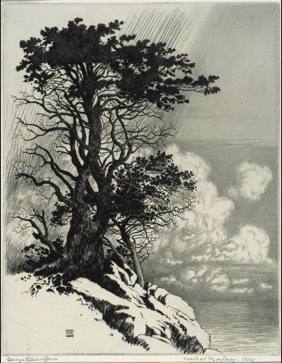 Wybrzeże w Monterey, Kalifornia autorstwa George Elbert Burr