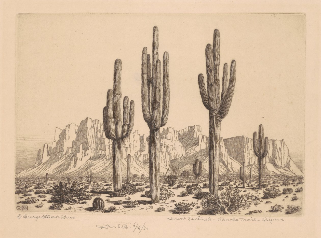 Desert Sentinels, Apache Trail, Arizona autorstwa George Elbert Burr