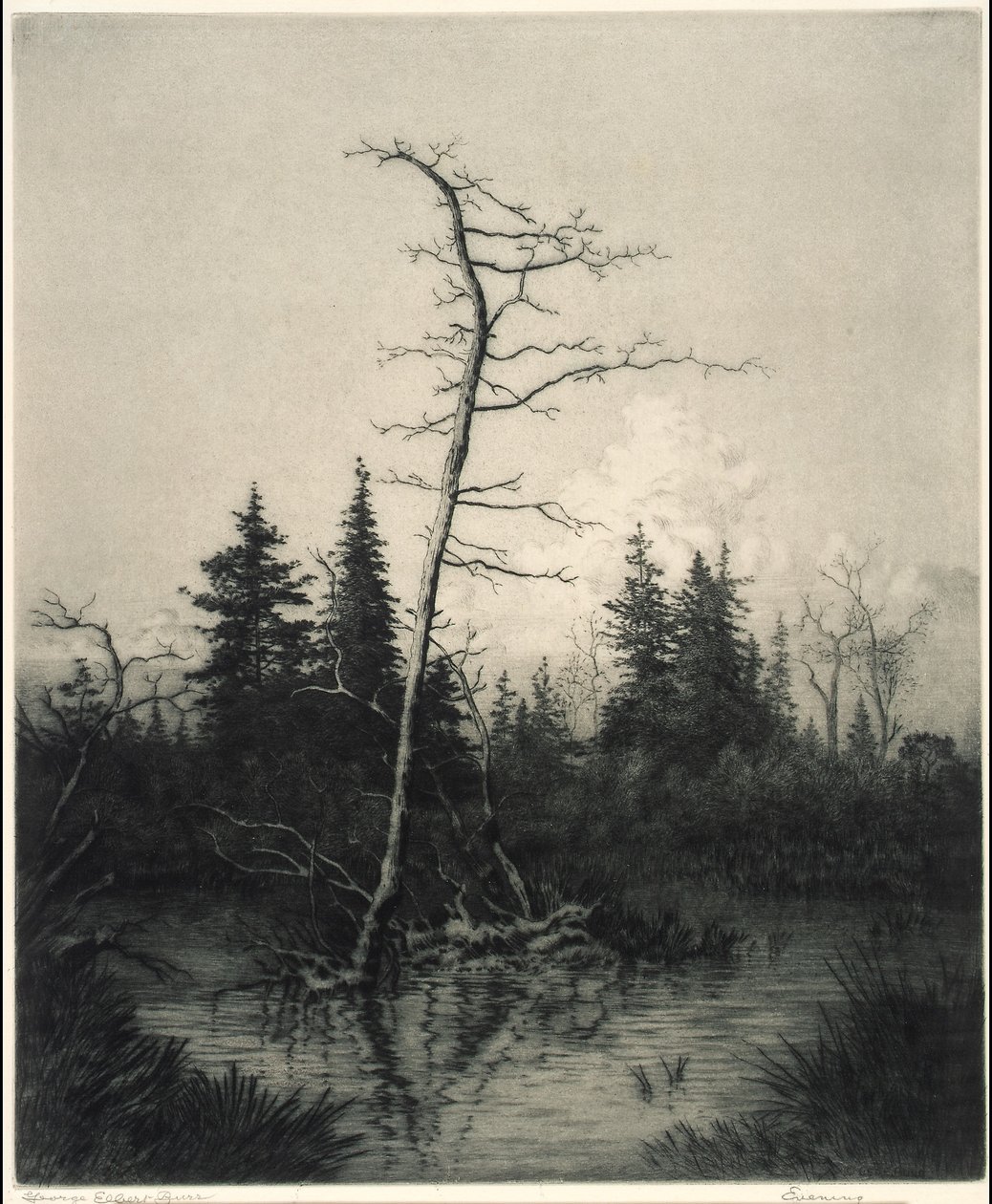 Wieczór autorstwa George Elbert Burr