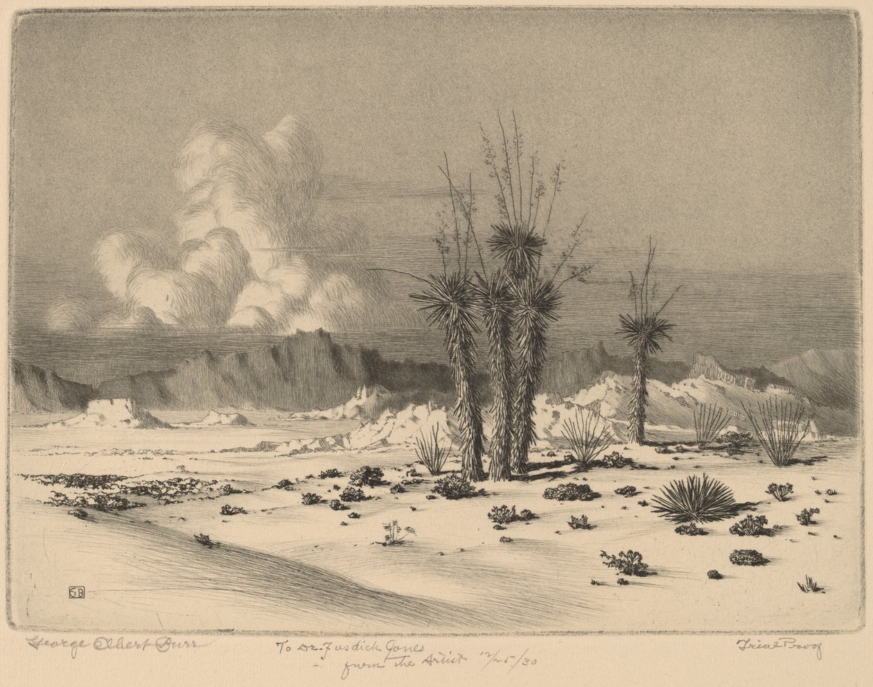 Wieczór, Arizona autorstwa George Elbert Burr