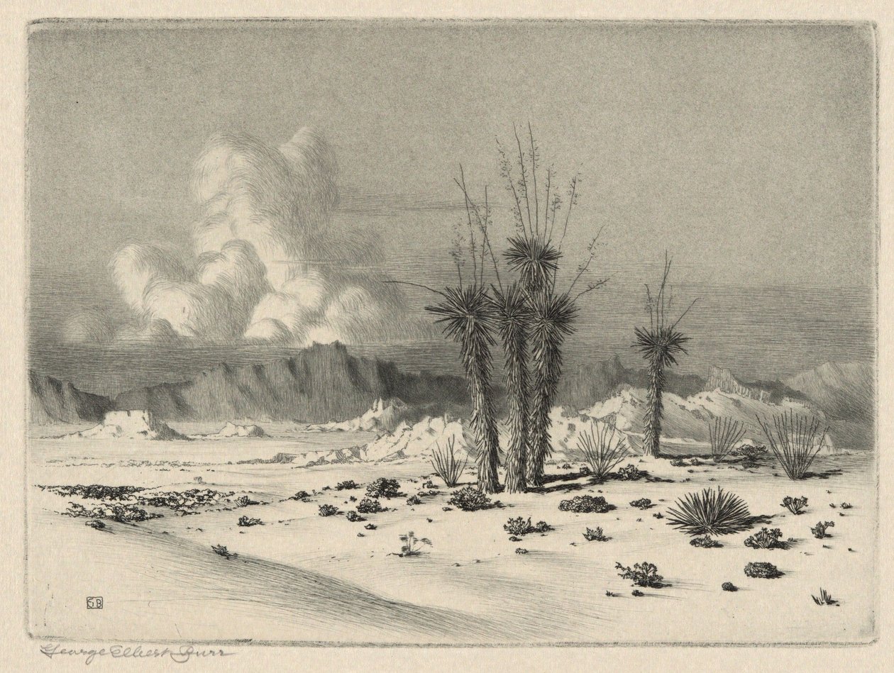Wieczór, Arizona autorstwa George Elbert Burr