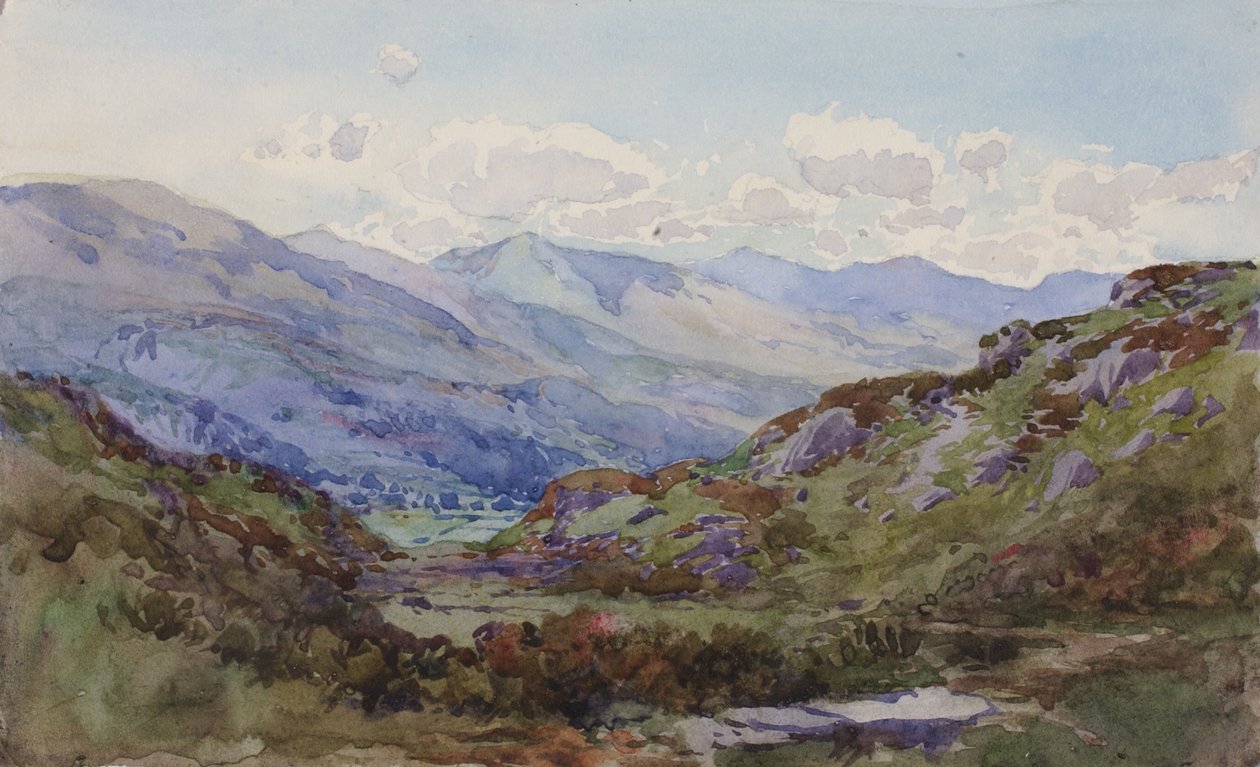 Z góry Pont-y-Pant, 1899. autorstwa George Elbert Burr