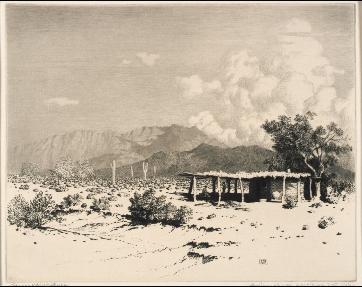 Domy Indian, Salt River Mountains, Arizona autorstwa George Elbert Burr
