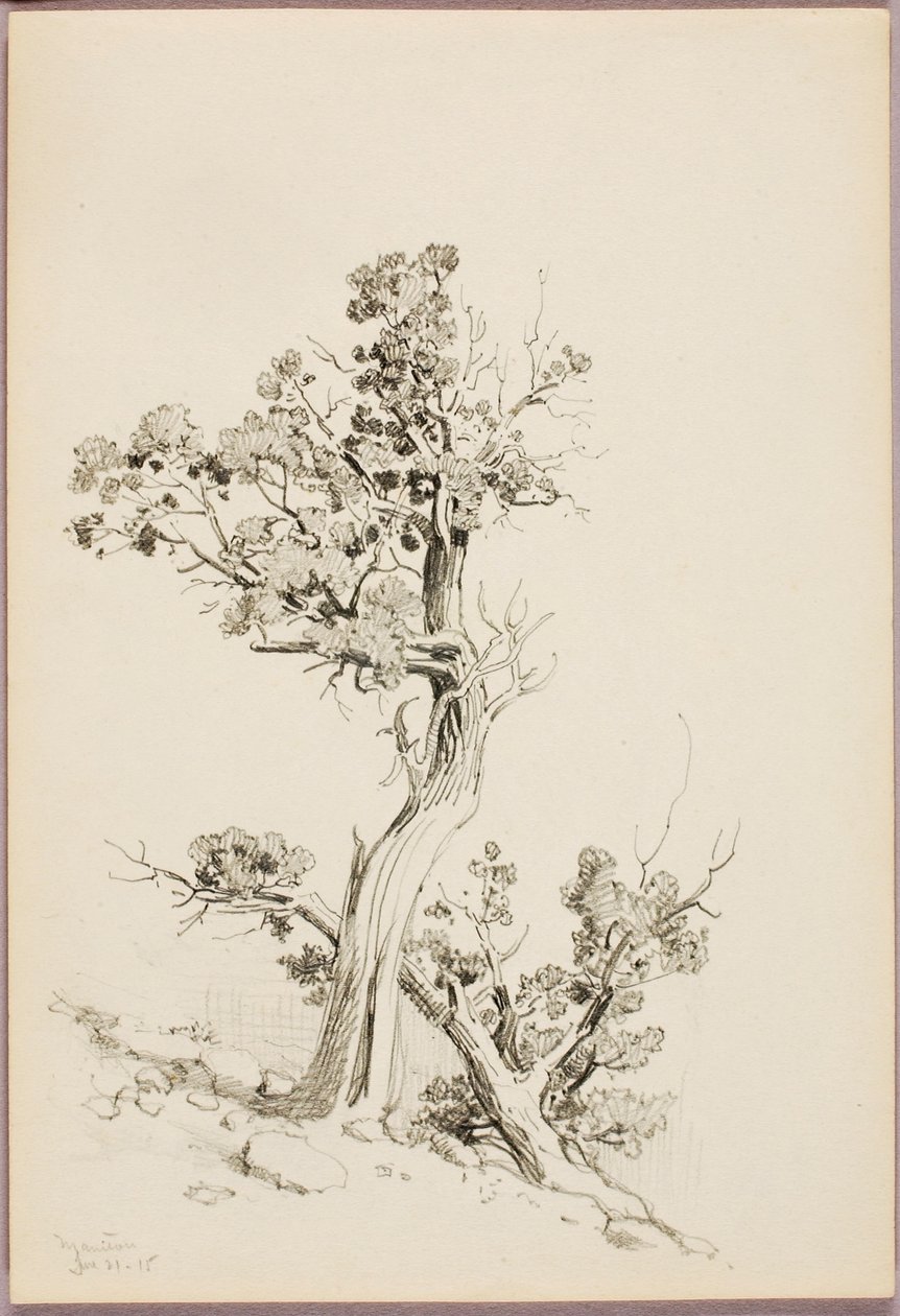 Manitou autorstwa George Elbert Burr