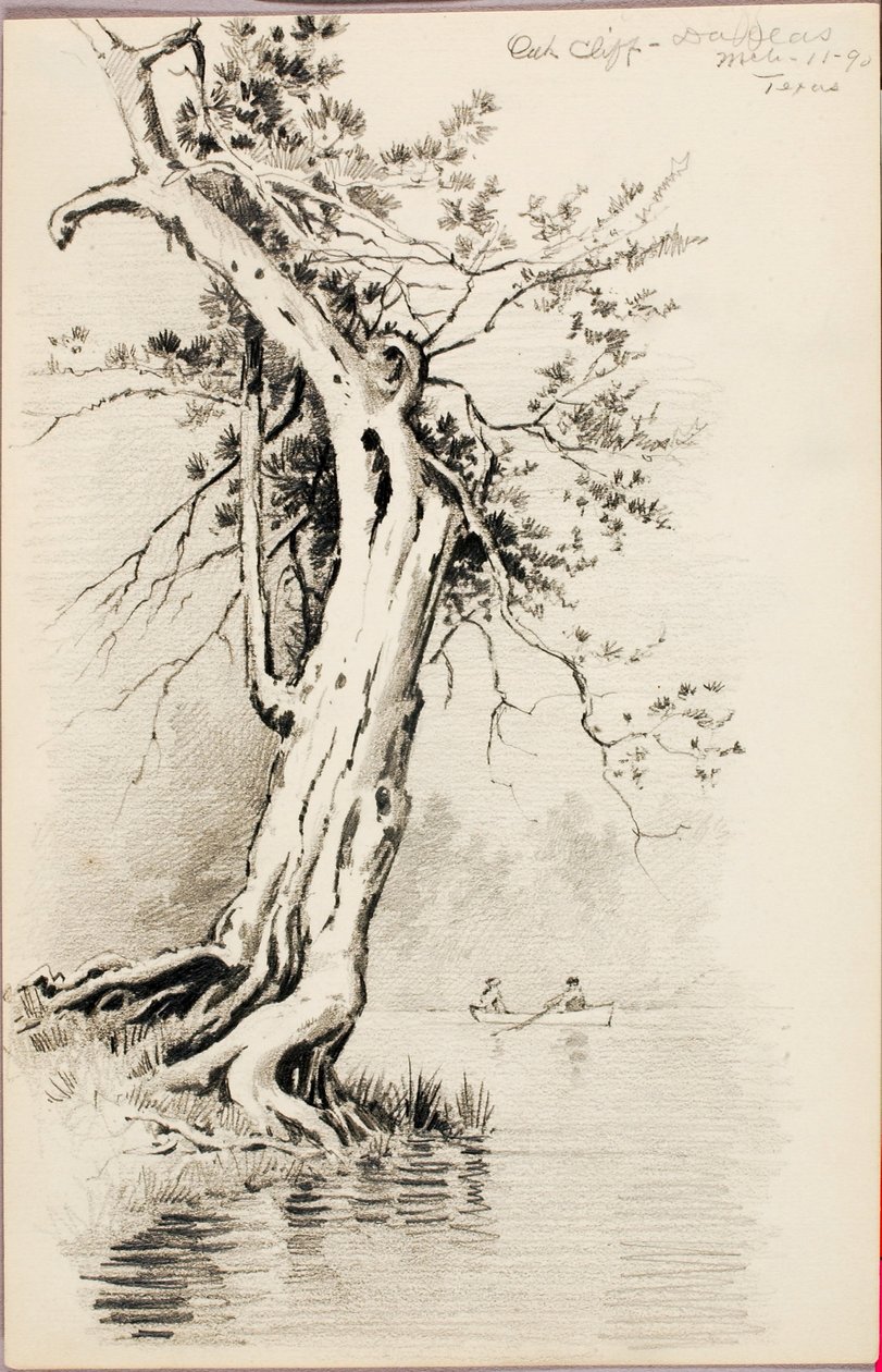 Oak Cliff--Dallas autorstwa George Elbert Burr