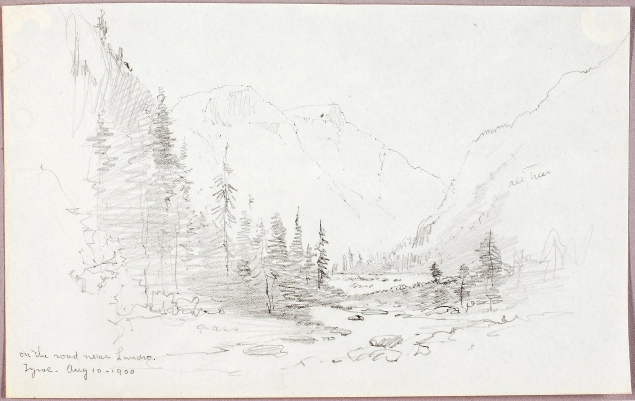 Na drodze w pobliżu Landro, Tyrol autorstwa George Elbert Burr