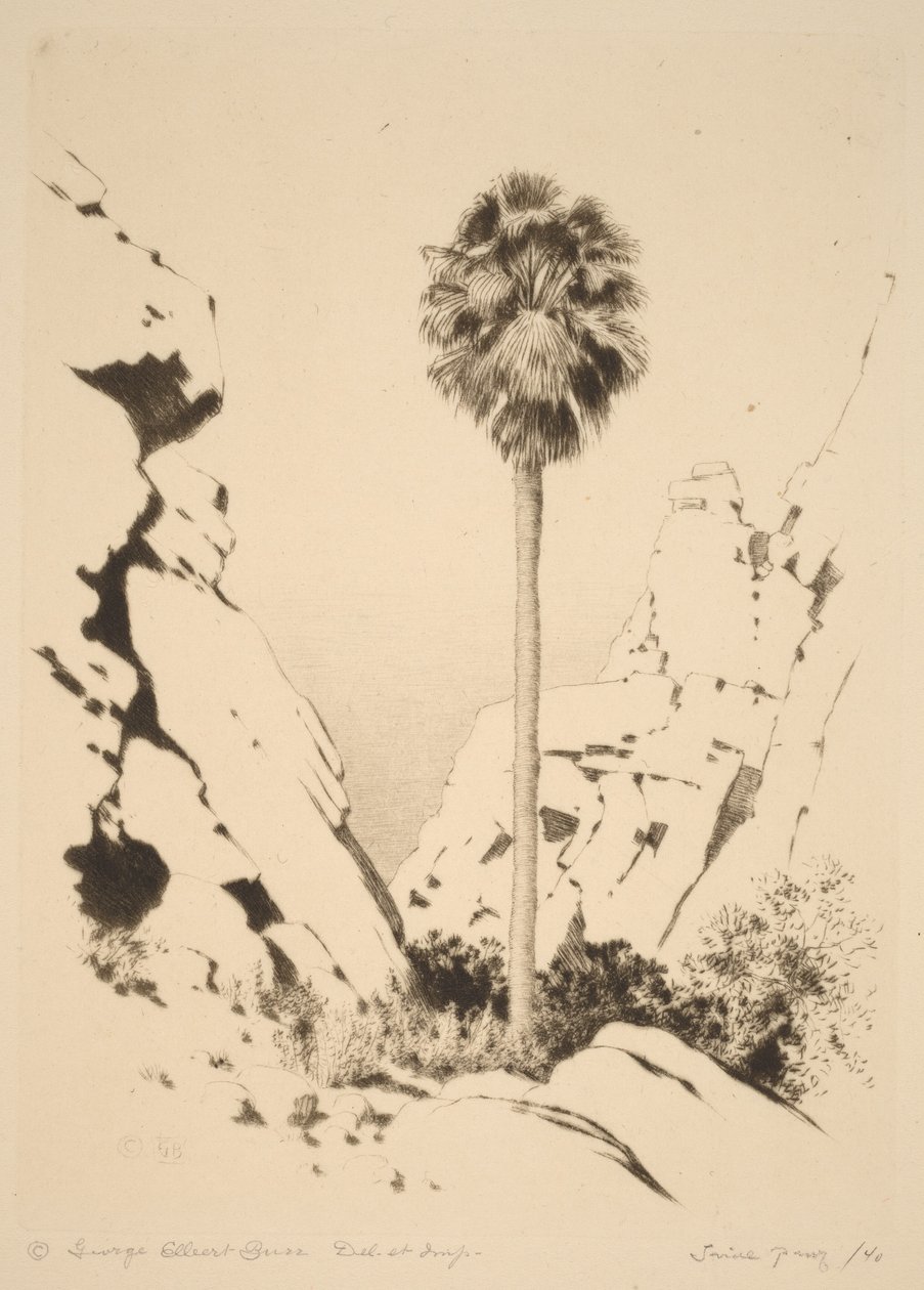 Palm Canyon (nr 1) autorstwa George Elbert Burr