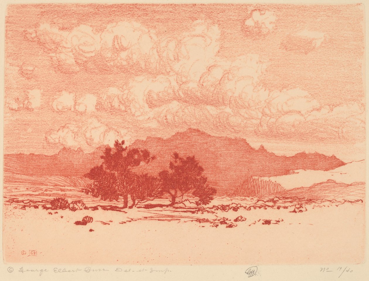 Drzewa Palo Verde autorstwa George Elbert Burr