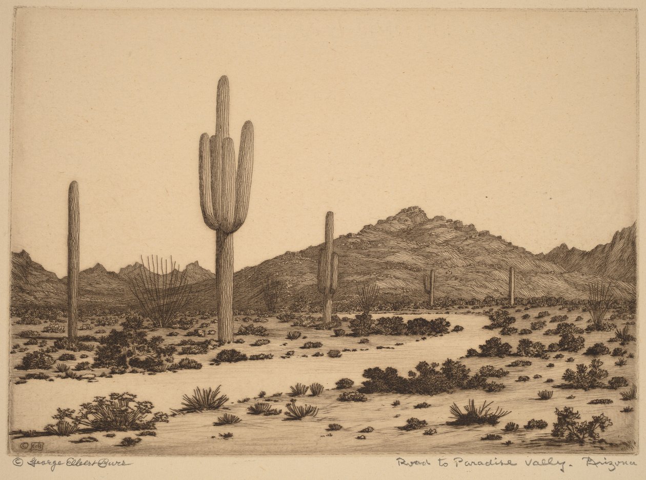 Droga do Paradise Valley w Arizonie autorstwa George Elbert Burr