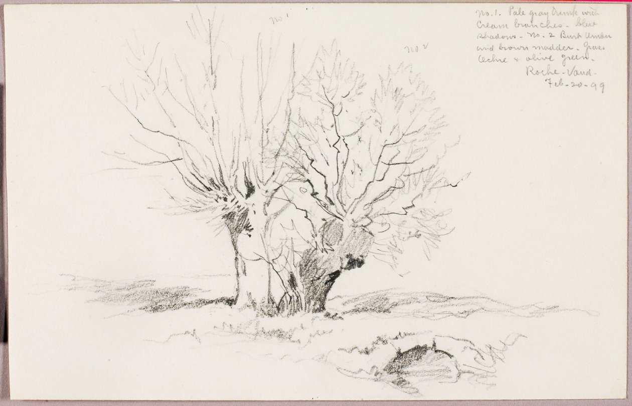 Roche Vaud autorstwa George Elbert Burr
