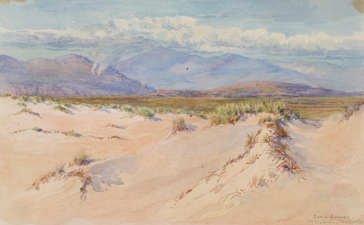 Wydmy, Harlech, Północna Walia, 1899. autorstwa George Elbert Burr