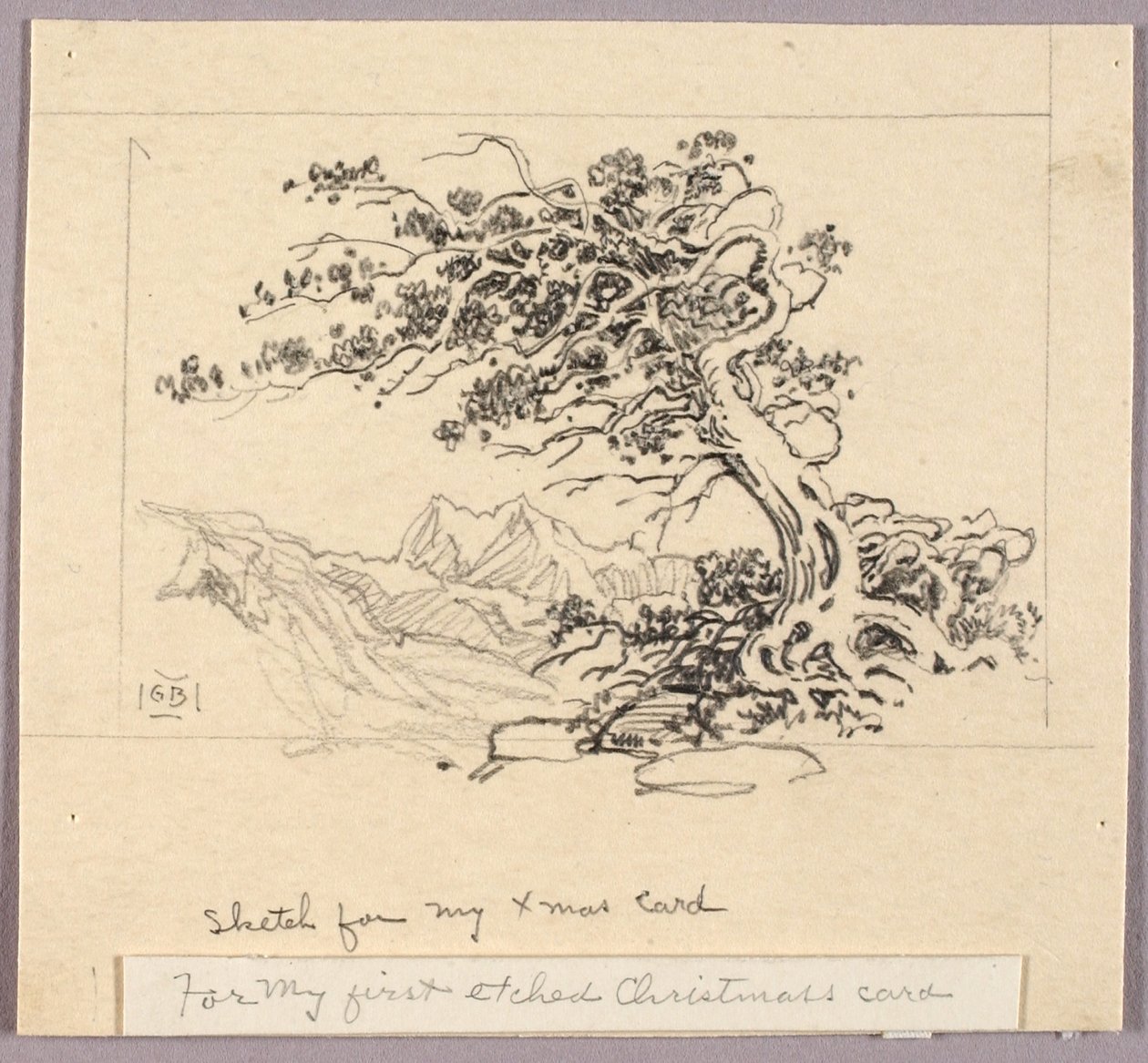 Szkic do kartki świątecznej (Windswept Pine [nr 1]) autorstwa George Elbert Burr