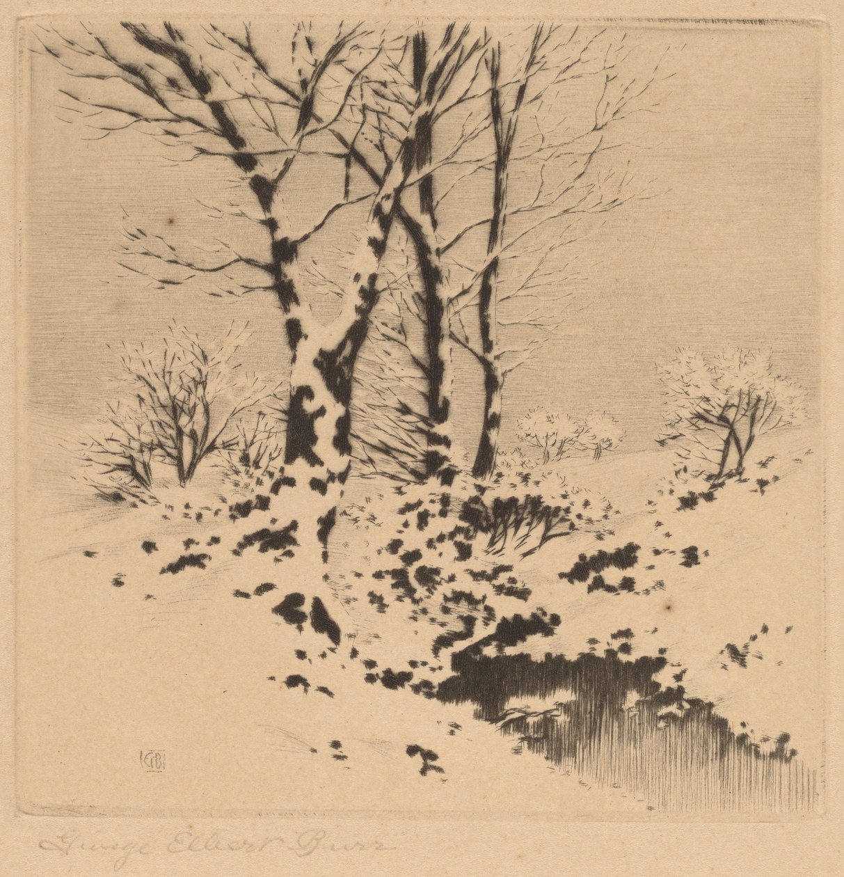 Śnieg autorstwa George Elbert Burr