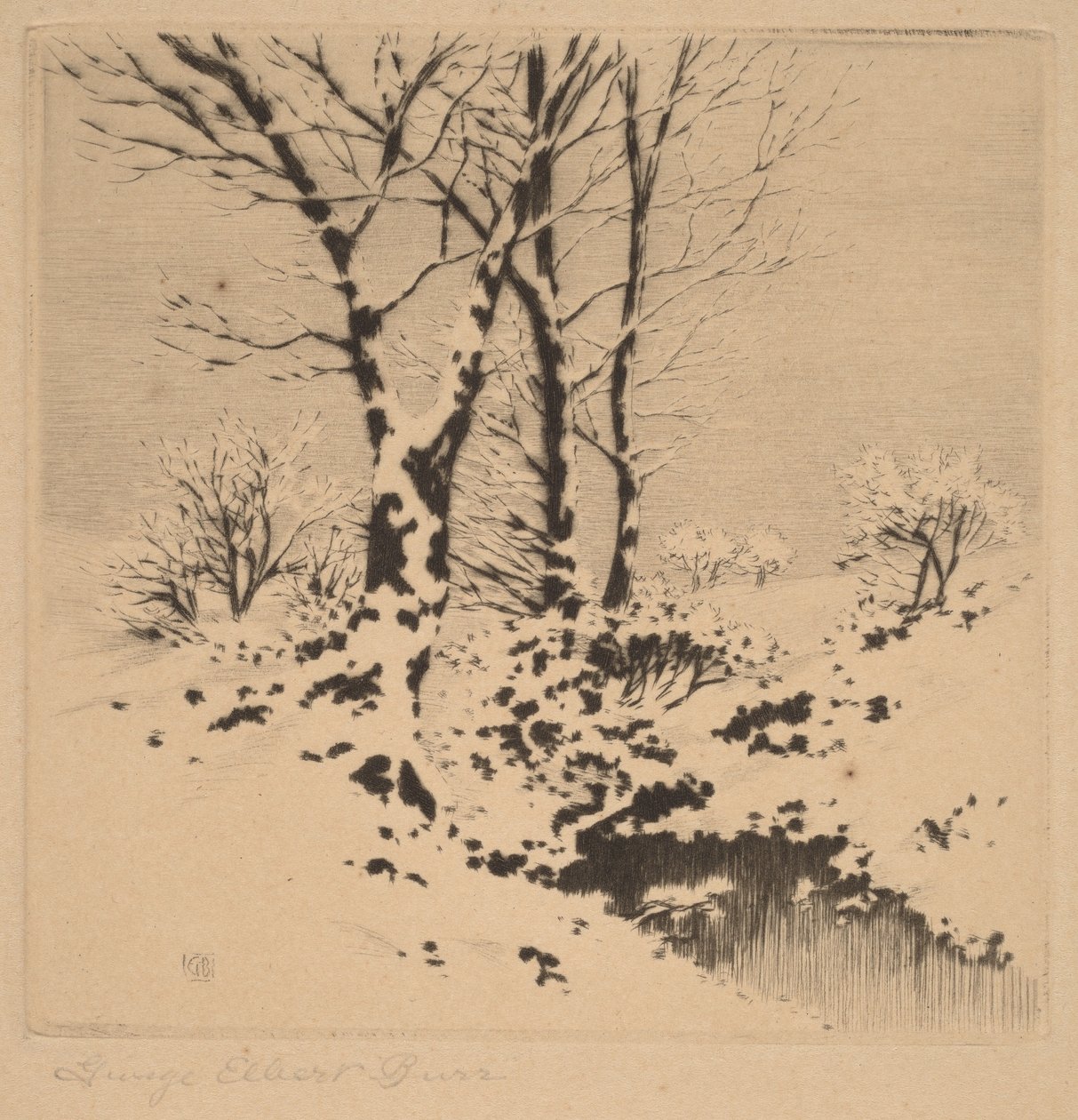 Śnieg autorstwa George Elbert Burr