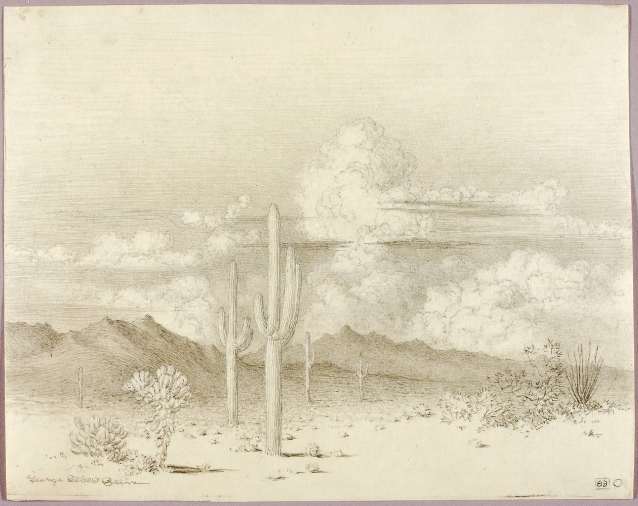 Bez tytułu (rysunek przeniesieniowy do obrazu Wieczór, Paradise Valley, Arizona) autorstwa George Elbert Burr
