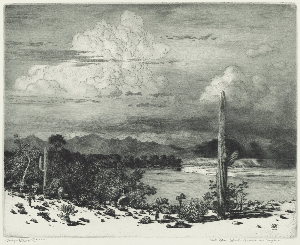 Verde River, rezerwat Apache, Arizona autorstwa George Elbert Burr