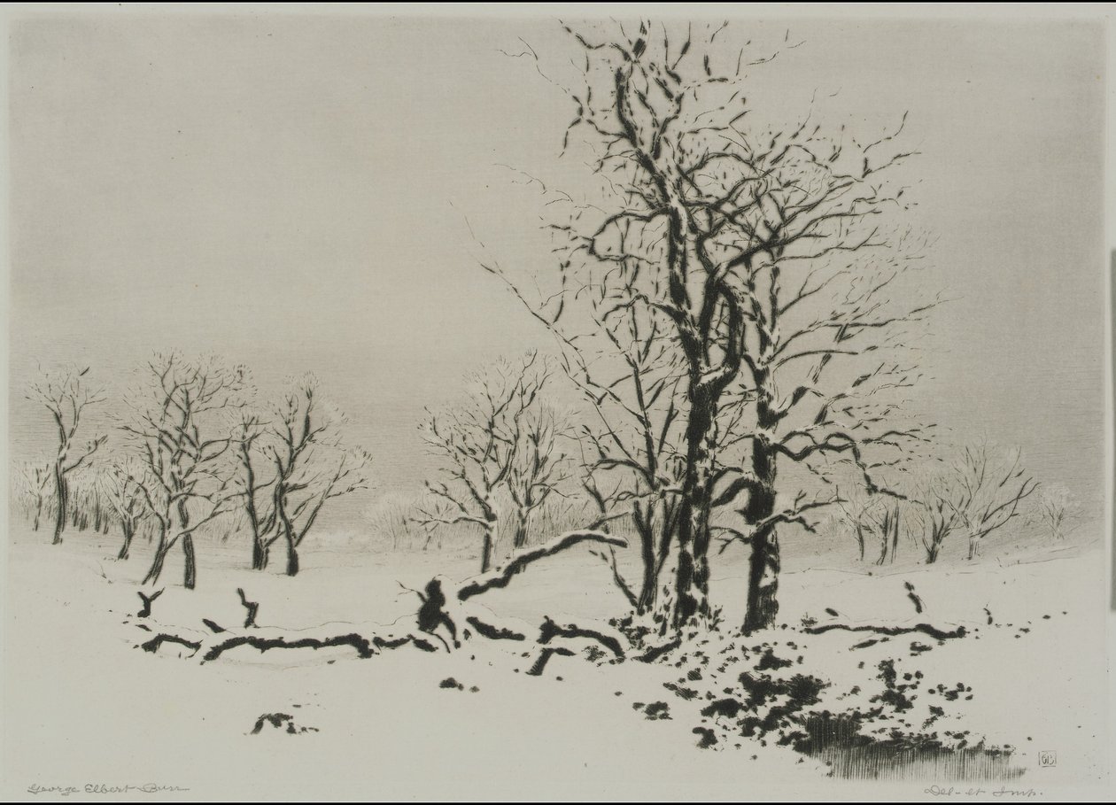 Zima (nr 1) autorstwa George Elbert Burr