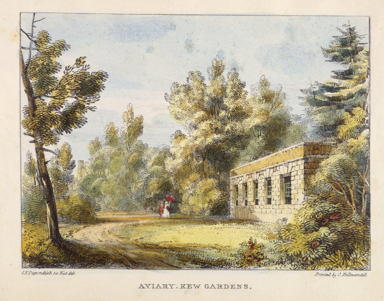 Woliera, Kew Gardens, tablica 10 z Kew Gardens: A Series of Twenty-Four Drawings on Stone, grawerowane przez Charlesa Hullmandela (1789-1850) wydane w 1820 r. (litografia ręcznie kolorowana) autorstwa George Ernest after Papendiek