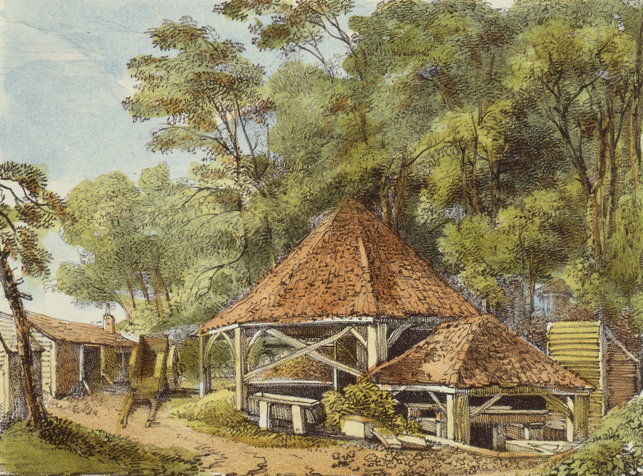 Water Works, Kew Gardens, tablica 22 z Kew Gardens: A Series of Twenty-Four Drawings on Stone, grawerowane przez Charlesa Hullmandela (1789-1850) wydana w 1820 r. (litografia ręcznie kolorowana) autorstwa George Ernest after Papendiek