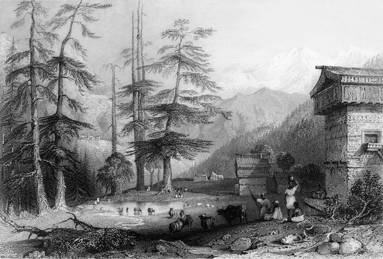 „Wioska Koghera i Las Deodar, w pobliżu Chóru”, 1838. autorstwa George Francis White