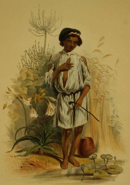 Charley, Half Caste Kafir Boy, płyta 24 z „The Kafirs Illustrated”, ryt. A. Laby autorstwa George French (after) Angas