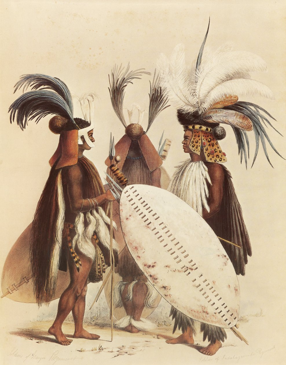 Armia zuluska autorstwa George French Angas