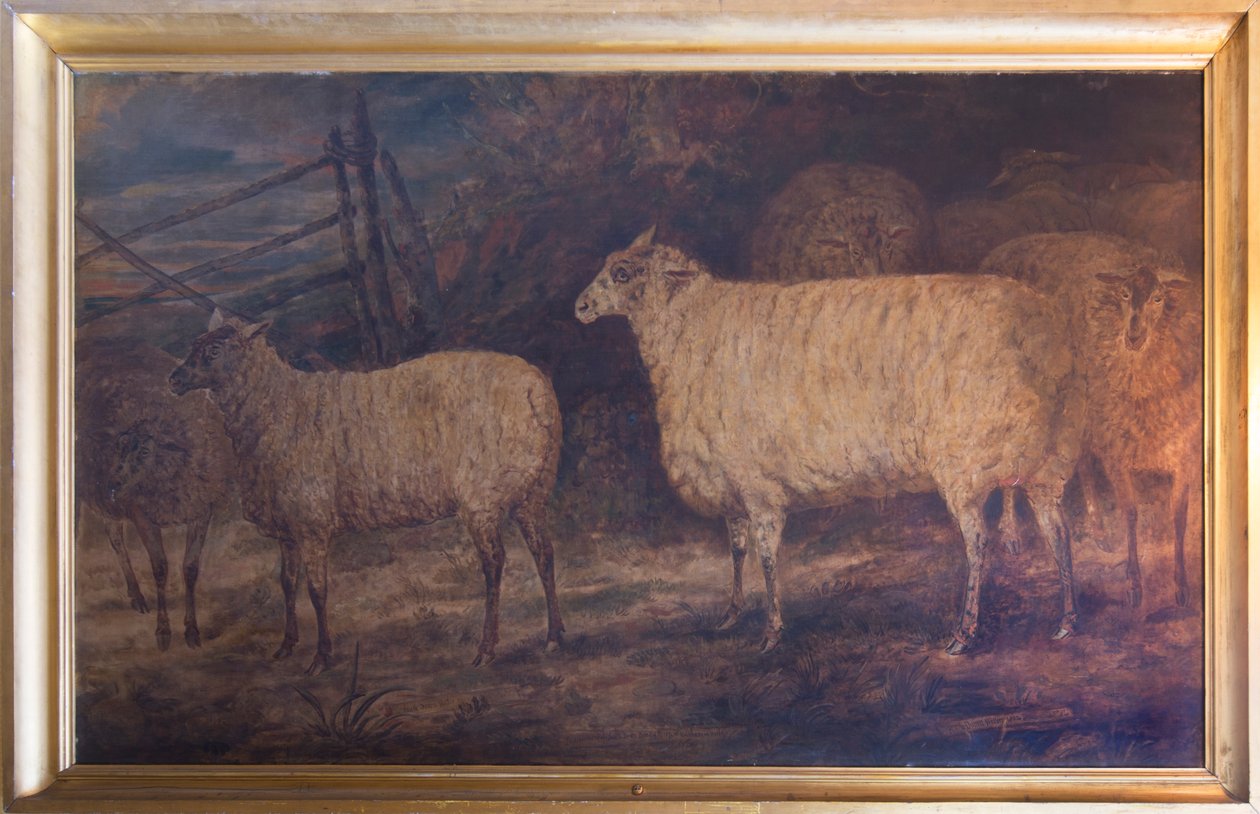 Ulepszenie rasy owiec rasy South Down w Holkham w Norfolk, 1793-1807 autorstwa George Garrard