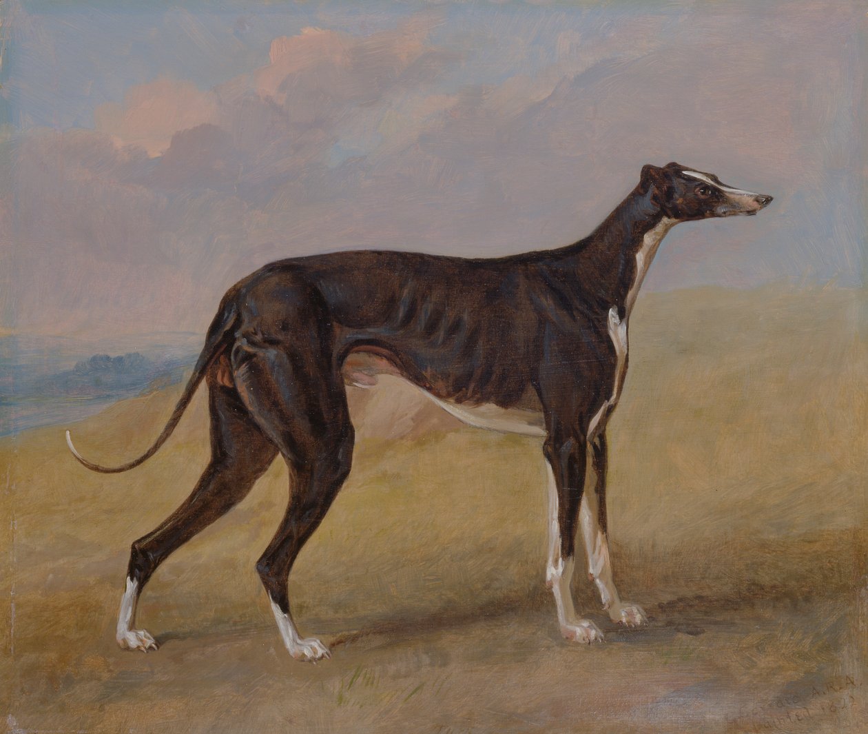 Turk, chart, własność George Lane Fox autorstwa George Garrard